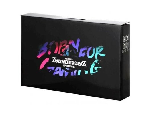 Ноутбук игровой Thunderobot 911 Plus X/Core i5 12450H/16Gb/512Gb/17.3FHD 144Гц/RTX 3050 Ti/Win11 cеребристый